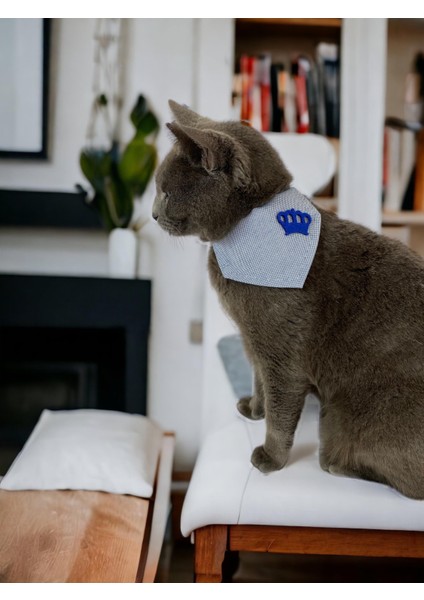 King Blue Kedi Bandana, Fular, Kedi Kıyafeti Kedi Elbisesi