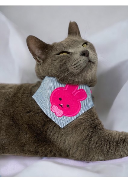 Pink Bunny Kedi Bandana, Fular, Kedi Kıyafeti Kedi Elbisesi