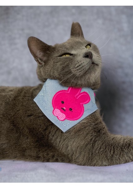 Pink Bunny Kedi Bandana, Fular, Kedi Kıyafeti Kedi Elbisesi