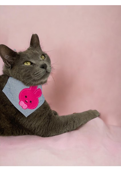 Pink Bunny Kedi Bandana, Fular, Kedi Kıyafeti Kedi Elbisesi