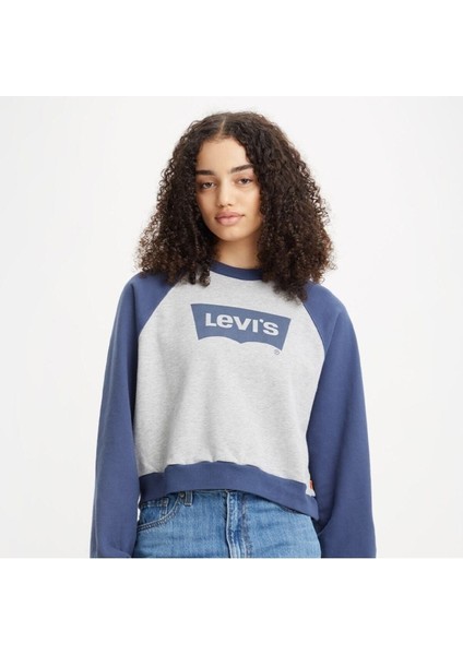 Vintage Raglan Crewneck Sweatshirt