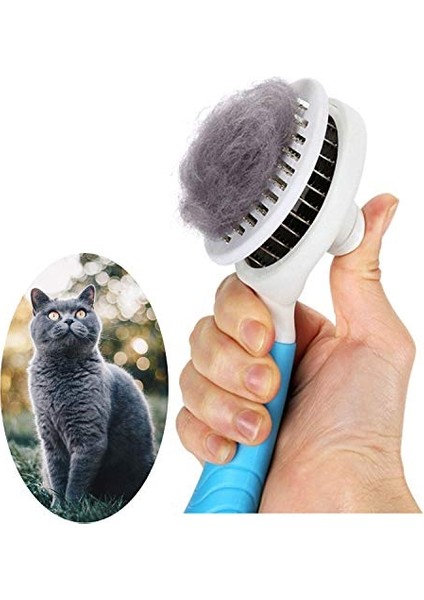 Kediler Için Bakım Fırçası, Köpekler Için Kendi Kendini Temizleyen Fırça Kediler Için Evcil Hayvan Bakım Fırçası Aracı Gevşek Astarı Yavaşça Çıkarır (Yurt Dışından) fiyatları