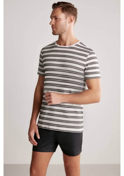 Beyaz Gri Çizgili Bisiklet Yaka Saf Pamuk T-Shirt modelleri