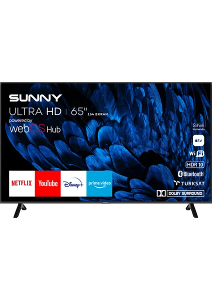 SN65FMN252 65" 165 Ekran Dahili Uydu Alıcılı 4K Ultra HD Smart LED TV