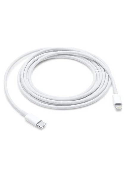 iPad Air (3. Nesil) Uyumlu Usb-C - Lightning Kablosu