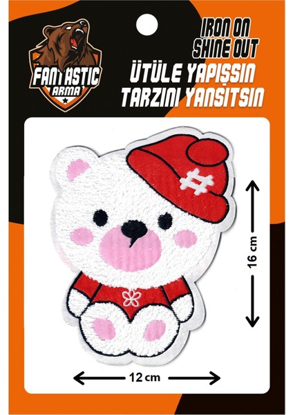 Ütü Ile Yapışan Dokuma, Peluş, Punch, Arma, Şapkalı Ayıcık Modeli
