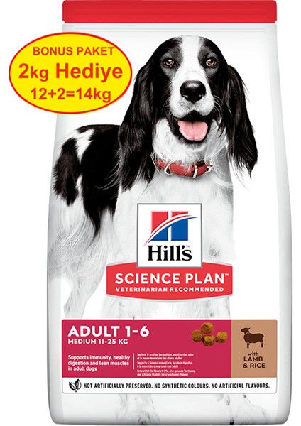 Science Plan Kuzu Etli Orta Irk Yetişkin Köpek Maması 12 kg (+2 kg Hediyeli)