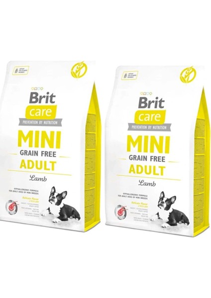 Mini Adult Kuzu Etli Tahılsız Küçük Irk Köpek Maması 2 Kgx2=4kg fiyatları