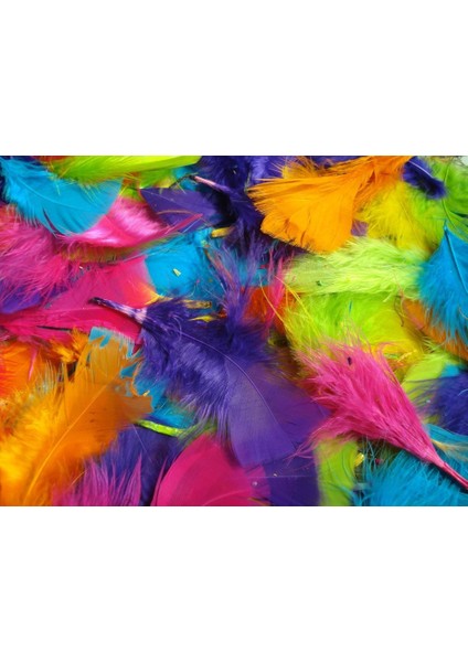 100 Adet Kuş Tüyleri Hobi Aksesuar Süs Malzemeleri ( Pembe ) fiyatları