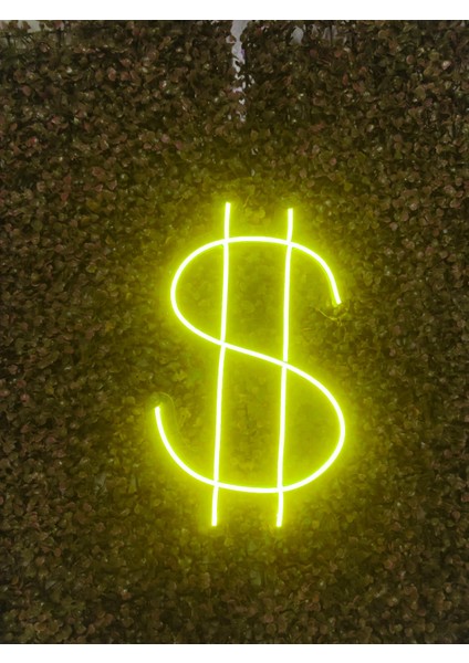 Dolarlogo Neon LED Tabela Duvar Dekoru