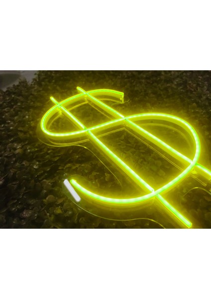 Dolarlogo Neon LED Tabela Duvar Dekoru