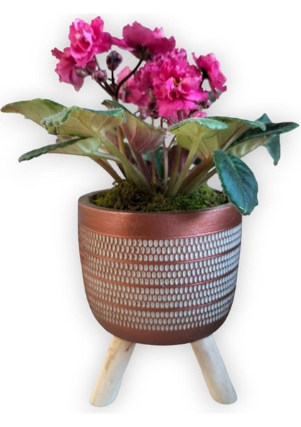 Koyu Pembe Menekşe Ayaklı Bakır Renk Saksıda indirimleri