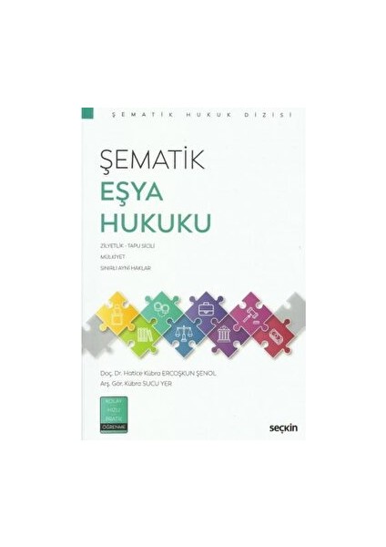 Şematik Eşya Hukuku