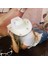 2pcs Cowgirl Hat Woman Kadınlar Için Batı Kostüm Tavuk Partisi Aksesuarları Gelin+Mrs (Yurt Dışından) 4
