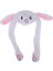 Yumuşak Peluş Earmuff Eşarp Şapkası Kawaii Tavşan Kulak Yükselen Kız Moda Hediyesi (Yurt Dışından) 1