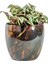 Vive Siyah Metal Saksı M 17X15 cm 2