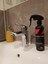 Nano Seramik Sprey Ev Duş Kabini Banyo Mutfak Fayans Cam Yüzey Için Sıvı Itici Leke Önleyici 3