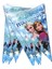 Frozen (Karlar Ülkesi) Temalı Temalı Üçgen Flama Bayrak Süs 2