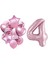 Pembe 4 Yaş Folyo Balon Set 1