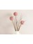 Grass Bush Plastik Tek Dal Yapay Çiçek 63 cm Pembe 1