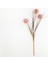 Grass Bush Plastik Tek Dal Yapay Çiçek 63 cm Pembe 3