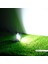 Smd LED Projektör 6500K Beyaz Işık 20W 1