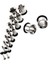 Piercing (Yurt Dışından) 5