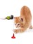Vantuzlu Kedi Oyuncağı - Fare Yakalama Oyuncağı 1