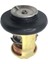 Yamaha Için Termostat 9.9-70HP 4 Zamanlı Tekne 6G8-12411-03 62Y-12414-00 (Yurt Dışından) 4