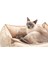 Premium Visco Kedi Yatağı Camel Medium 50X70X22 cm 1