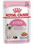 Jelly Kitten Yaş Yavru Kedi Maması 85 gr 1