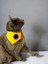 Yellow Blue Kedi Bandana, Fular, Kedi Kıyafeti Kedi Elbisesi 2