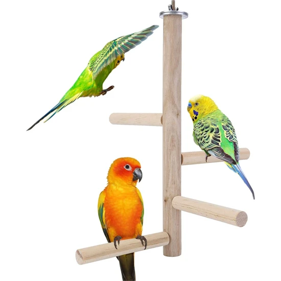 Alyones Küçük Orta Papağanlar Için Doğal Ahşap Stand, Papağan Kafesi Üst Ahşap Dallar
