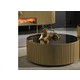  Renk Tonu Gold