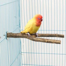 Alyones 3'lü Paket Apple Ahşap Kuş Levrek Kafesi, Doğal Ahşap Papağan Tüneği