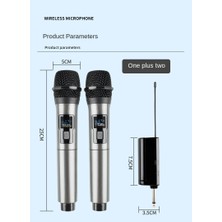 Ucuzcu Market Profesyonel 2 Kanal Uhf Kablosuz Telsiz Mikrofon