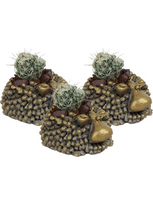 Stein Kohle Dekoratif Saksı Minik Kaktüs Saksısı Koyun Model