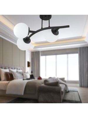Apliqa Izem 3'lü Siyah Modern Plafonyer Genç Odası Mutfak Yatak Odası Avize