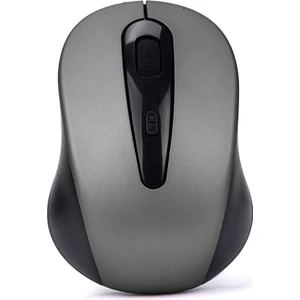C2 4d Optik 1200 Dpı Wireless Kablosuz Mouse