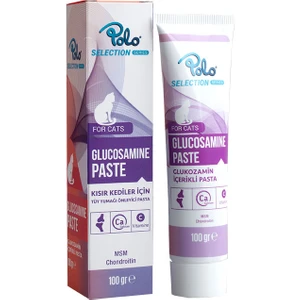 Glucosamine Paste 100GR