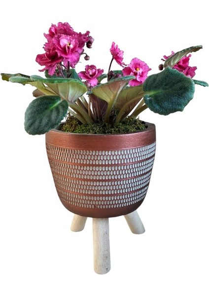 Koyu Pembe Menekşe Ayaklı Bakır Renk Saksıda modelleri