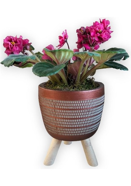 Koyu Pembe Menekşe Ayaklı Bakır Renk Saksıda fırsatları