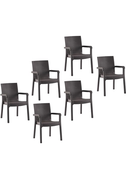 Markiz Rattan Koltuk Kahverengi | 6'lı Set