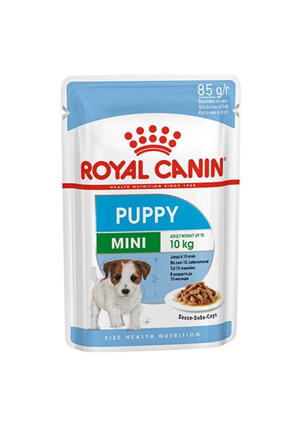 Mini Puppy Pouch Yavru Köpek Konservesi 6X85 gr