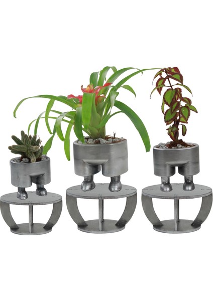 Ahşap Ayaklı Beton Saksı Büyük Boy Set 3 Adet Pantolon Model