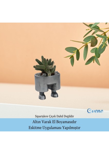 Ahşap Ayaklı Beton Saksı Büyük Boy Set 3 Adet Pantolon Model
