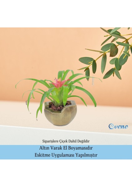 Ahşap Ayaklı Beton Saksı Büyük Boy Set 3 Adet Önü Açık Model indirimleri