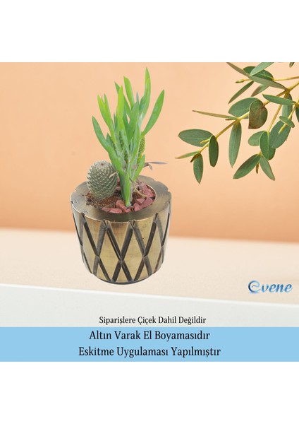 Ahşap Ayaklı Beton Saksı Büyük Boy Set 3 Adet Baklava Model
