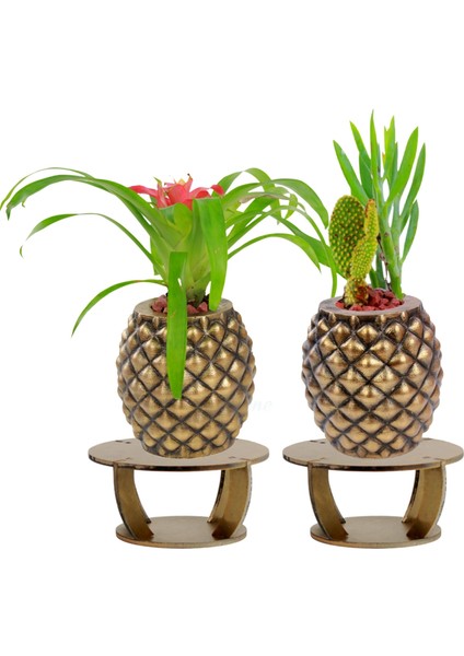Ahşap Ayaklı Beton Saksı Büyük Boy Set 2 Adet Ananas Model