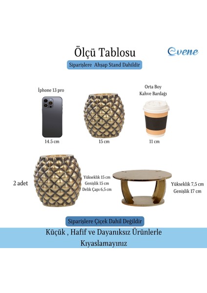 Ahşap Ayaklı Beton Saksı Büyük Boy Set 2 Adet Ananas Model fiyatları